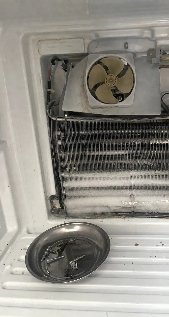The rear wall of a freezer compartment opened up, the evaporator coil and its fan housing exposed above a drain pan on the shelf